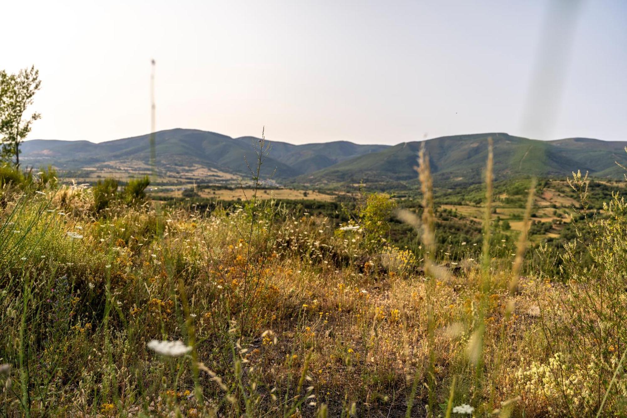 Casa De Turismo Rural Sardom3 Bembibre  Esterno foto
